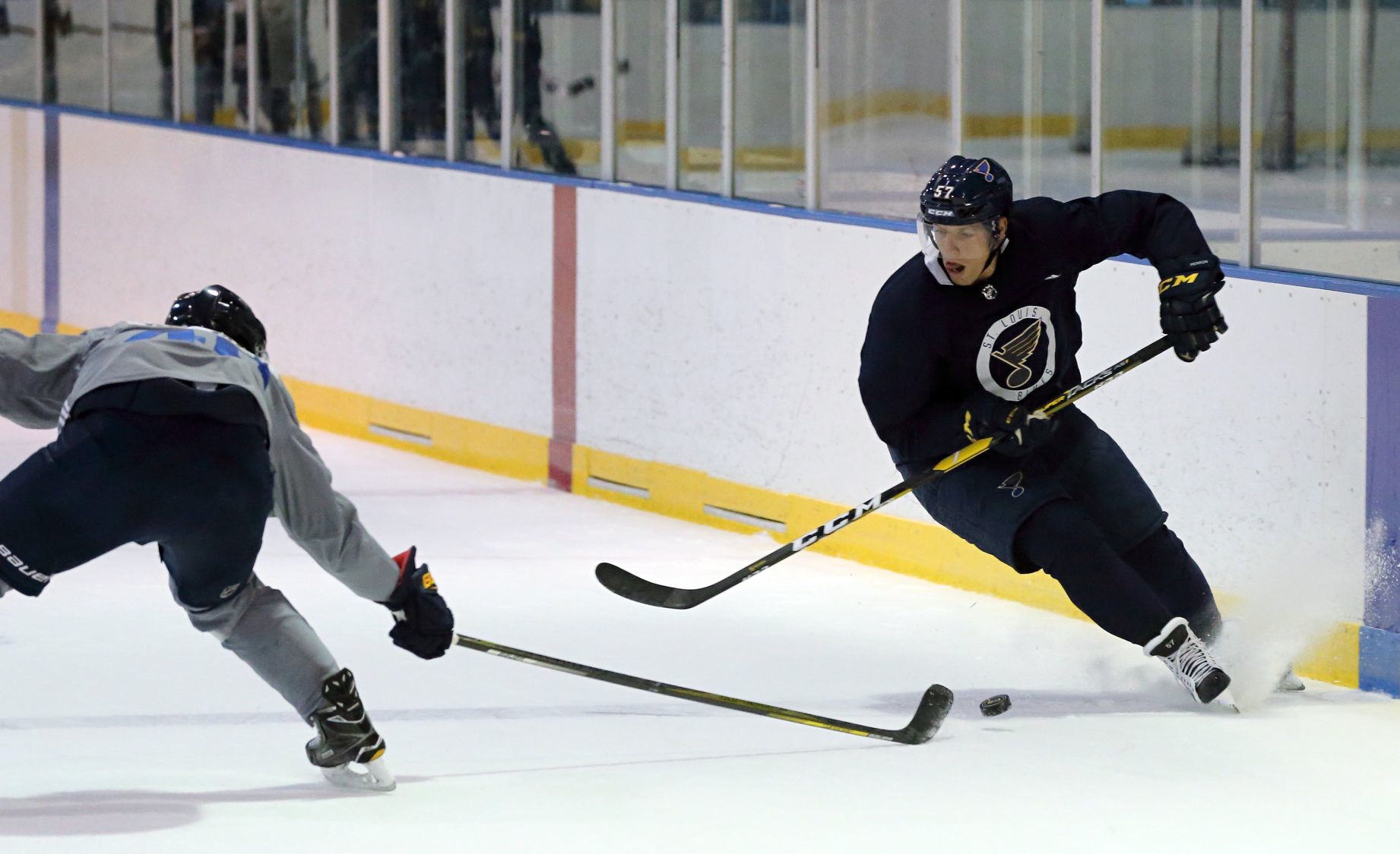 St. Louis Blues 2018-19 training camp